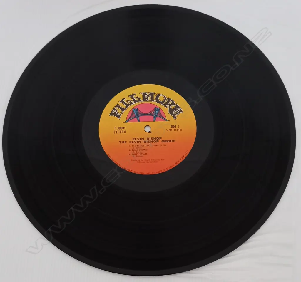 The Elvin Bishop Group, Elvin Bishop Group Image 1++
